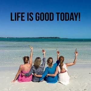 Meet your Posher, Barbara